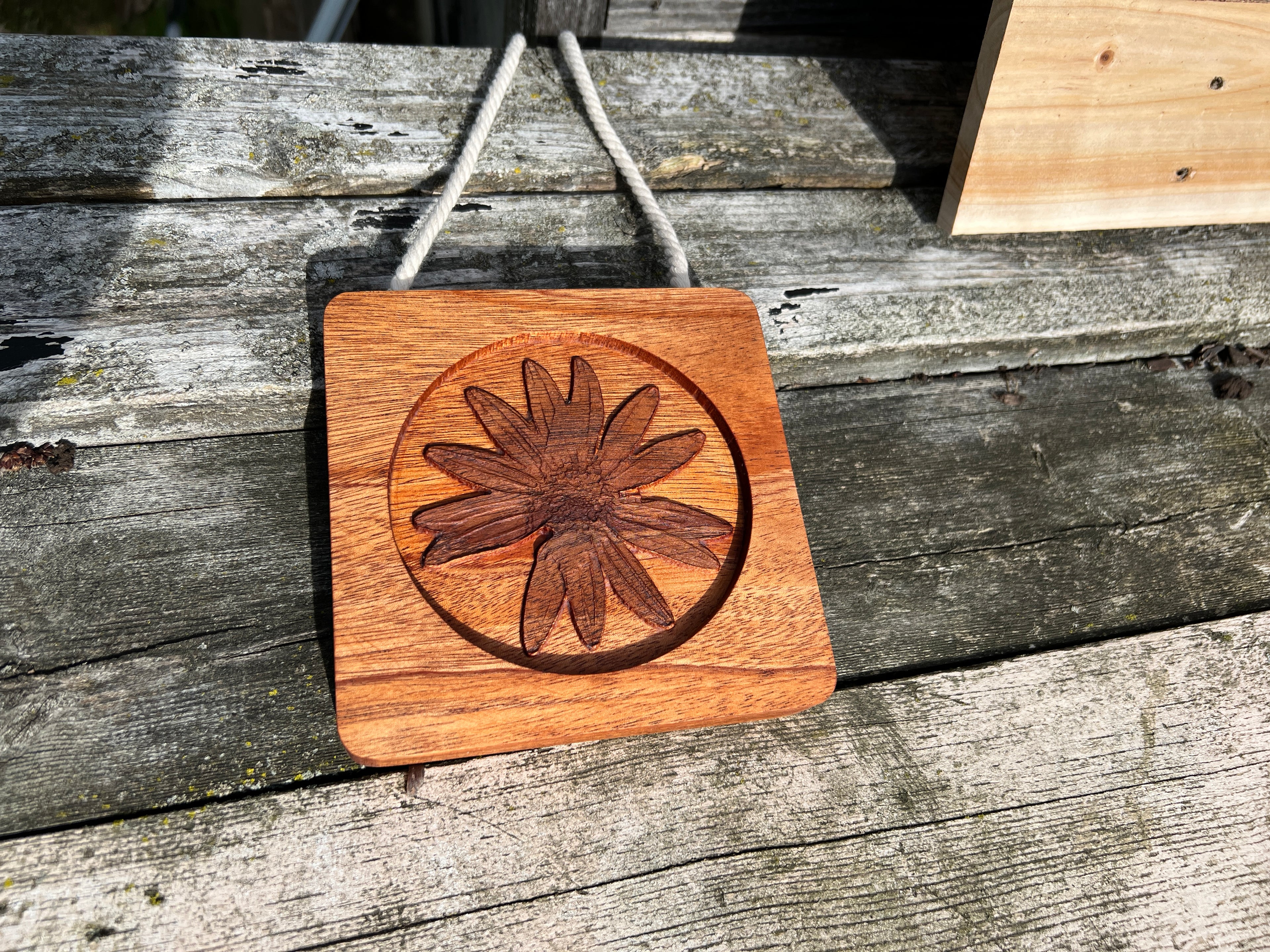Mahogany Wall Flower